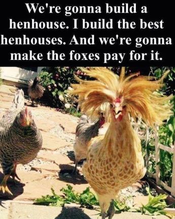 best hen house