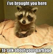 talk about garbage-raccoon